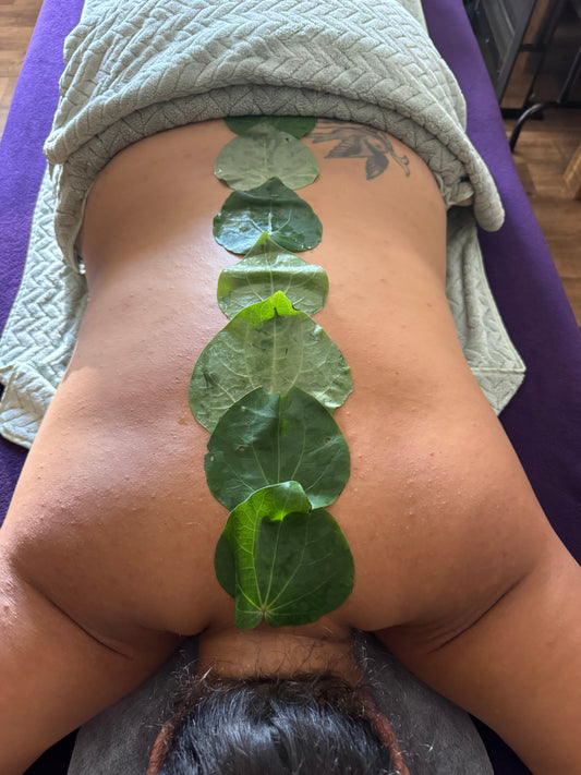 Te Pou Tuarā Level 2 (Online) 60min